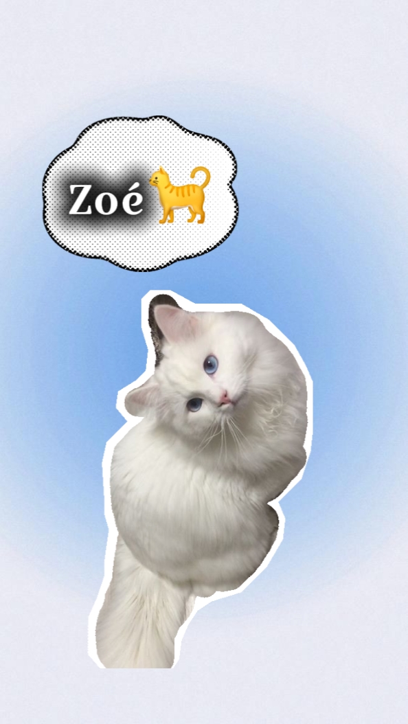 Présentation animaux