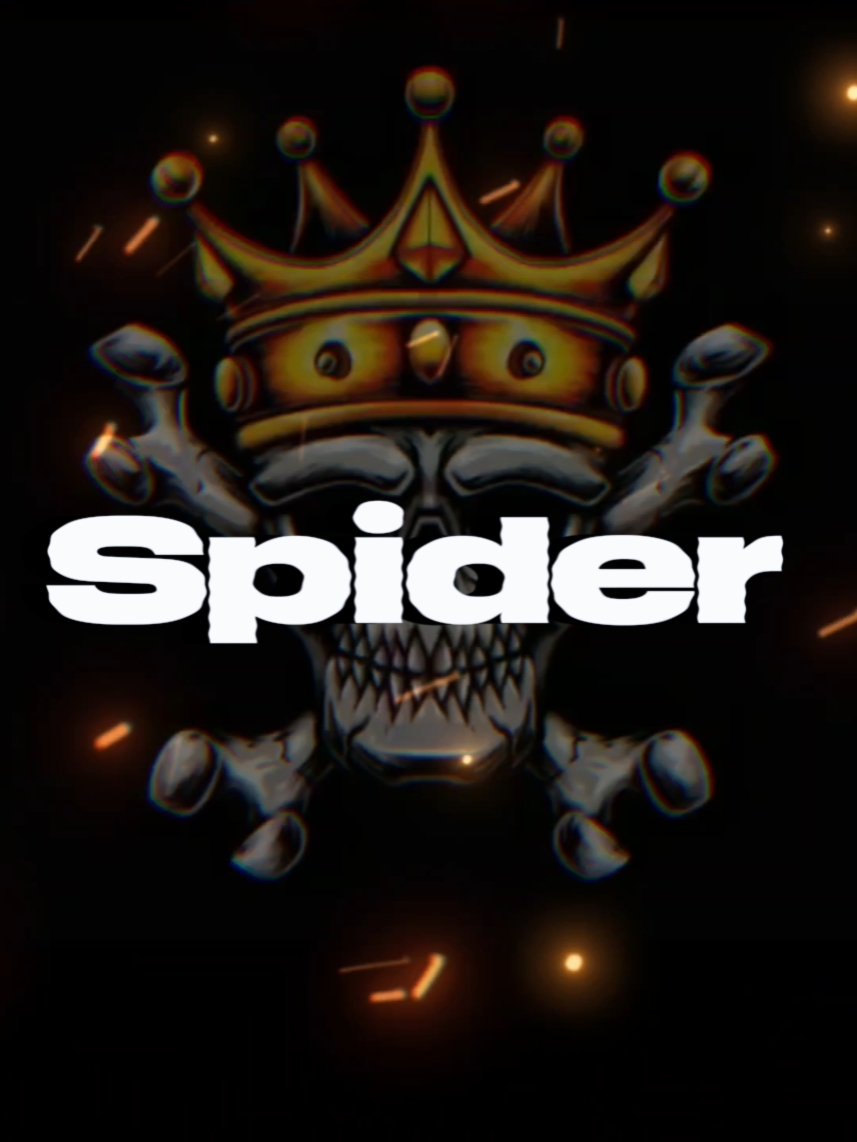 spider
