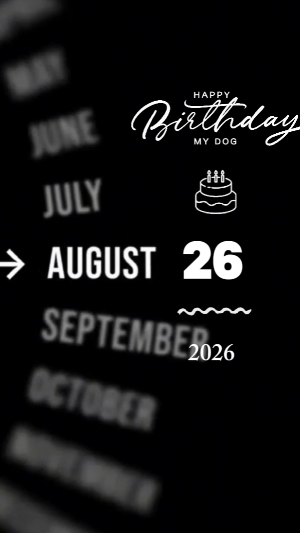 CUMPLEAÑOS PERRO 26 DE AGOSTO