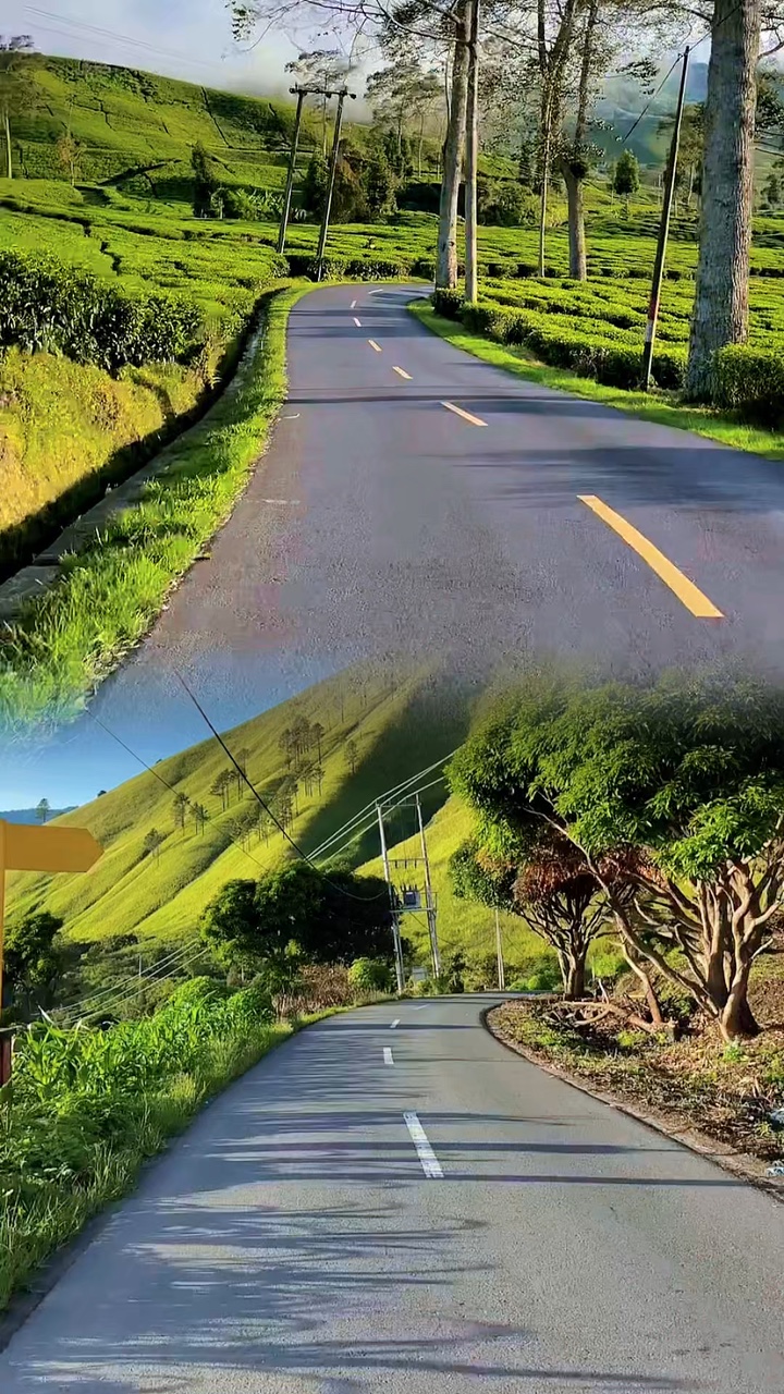 2 video 1 layout 