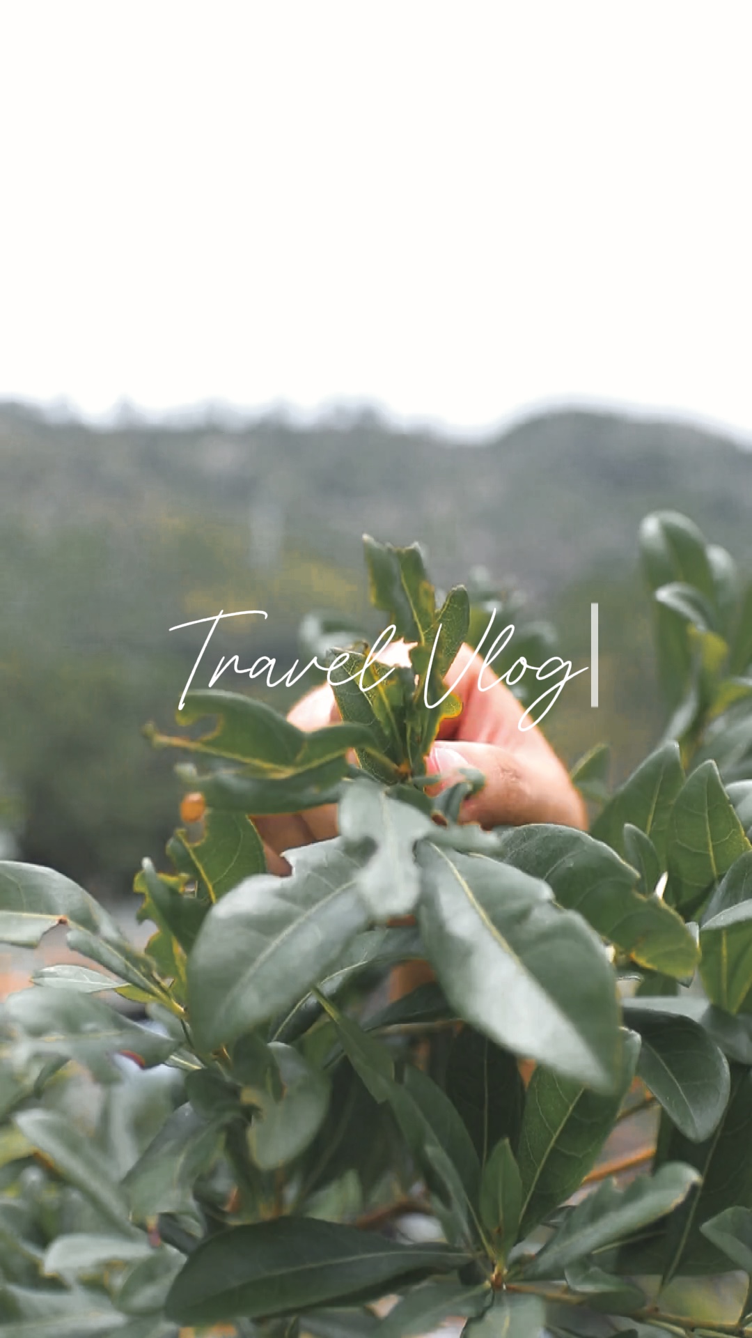 Travel Vlog V1
