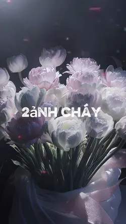2 ảnh chất liluwowng