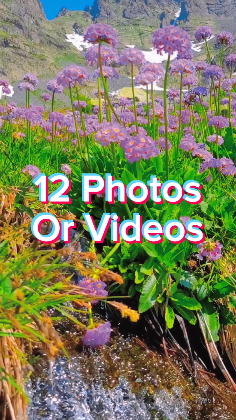 12 Seluncuran Foto