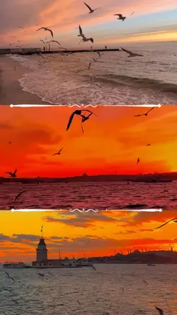 yeni manzara şablon