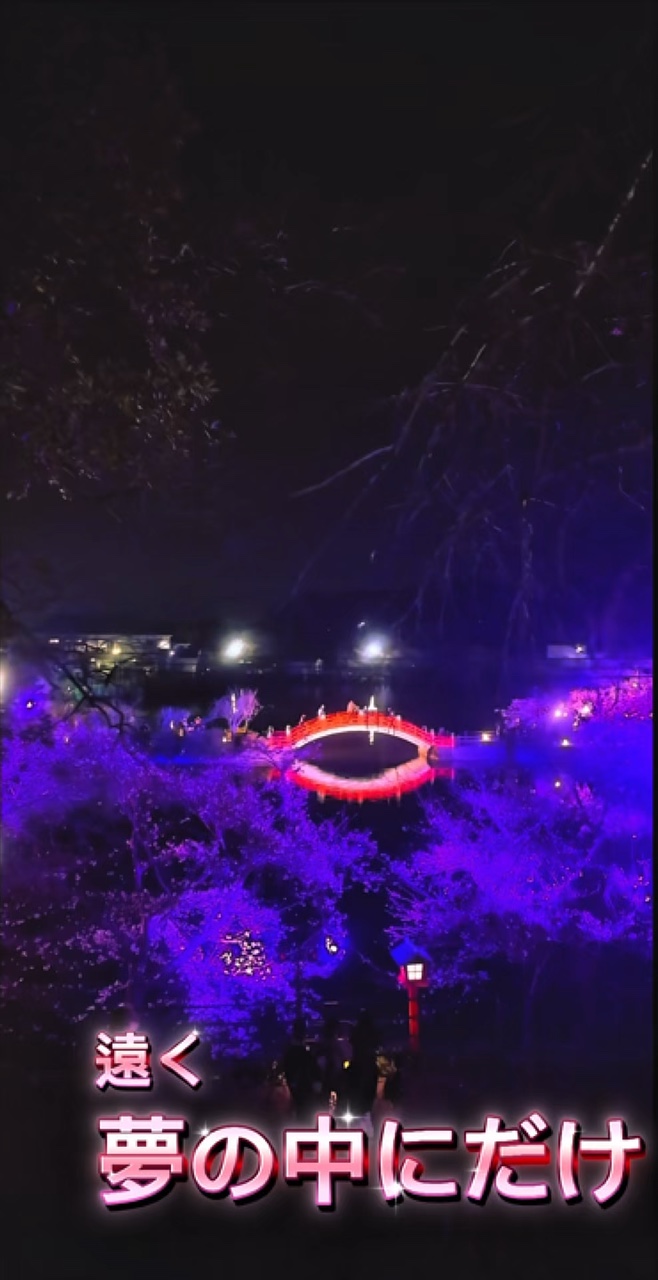 Sakura di Jepang