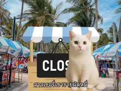สาวเชอรี่เซาขาย