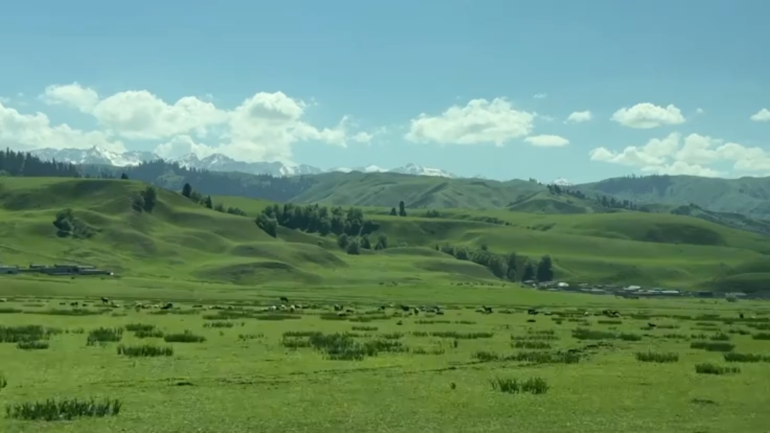 TRAVEL  NATURE 
