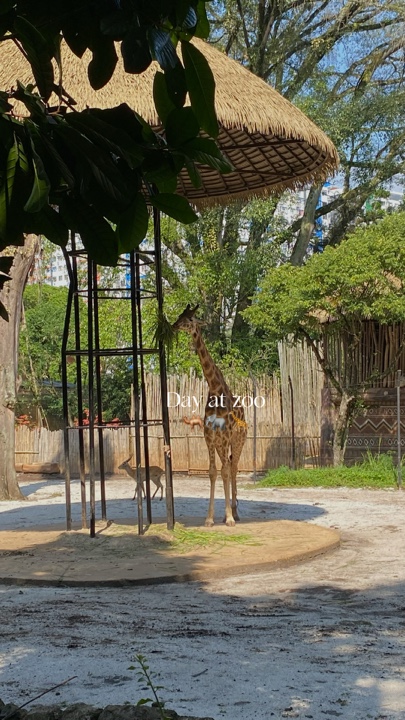 Día en el zoológico
