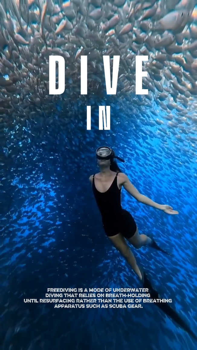 Freedive
