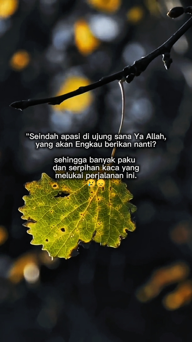 Seindah apasi diujun