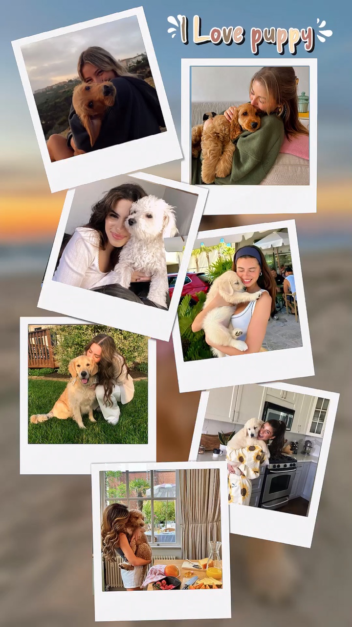 I Love  puppy’s 