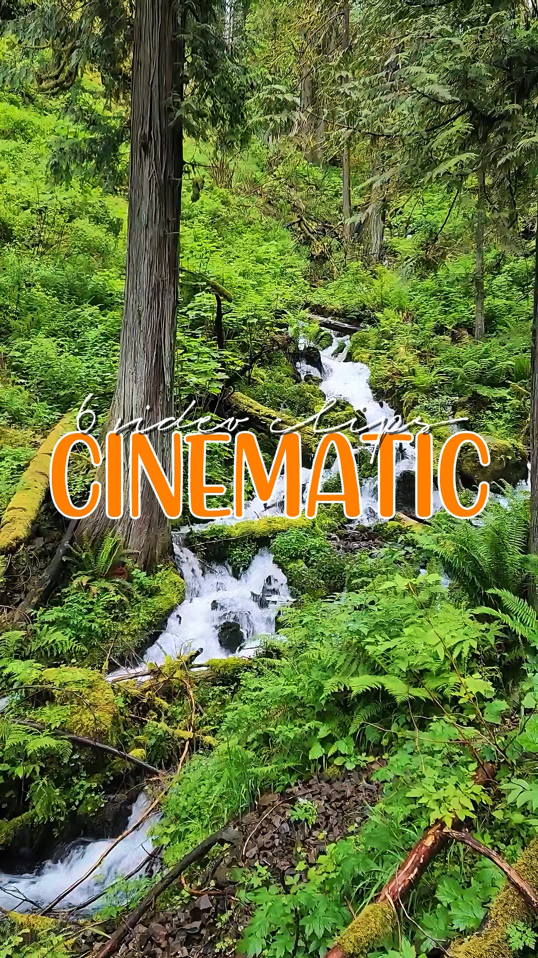 6 video sinema