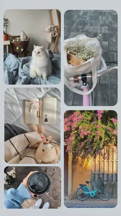 GRID AESTHETIC 