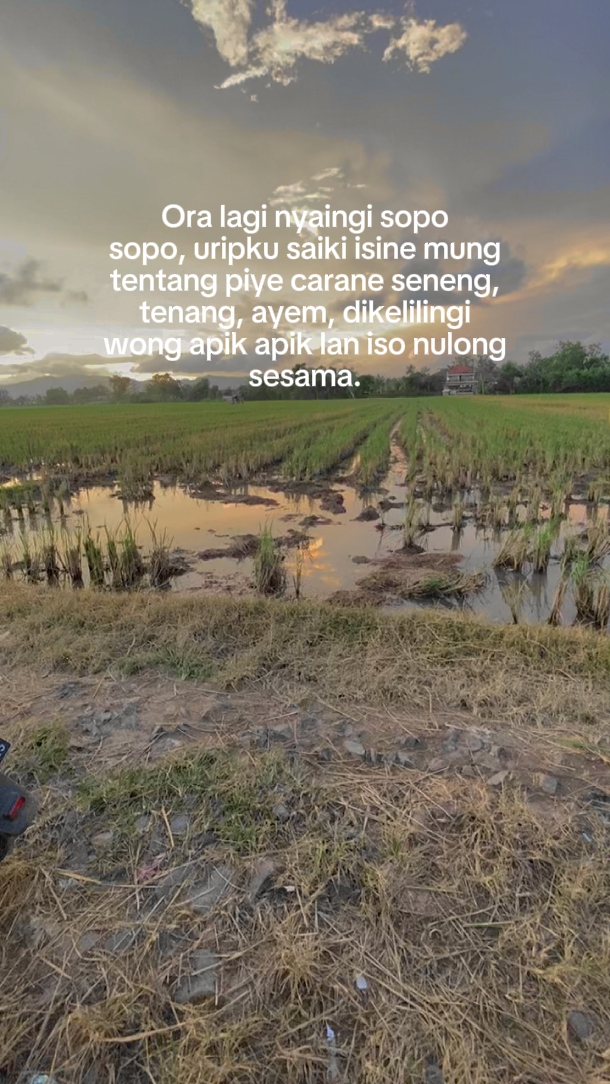 story wa