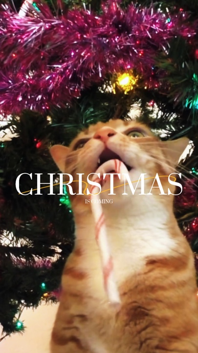 Se acerca la Navidad 