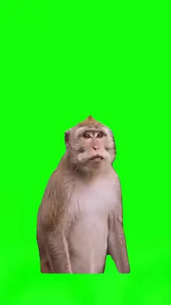 Monkey Dancing