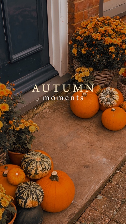 Moments d'automne 🍂