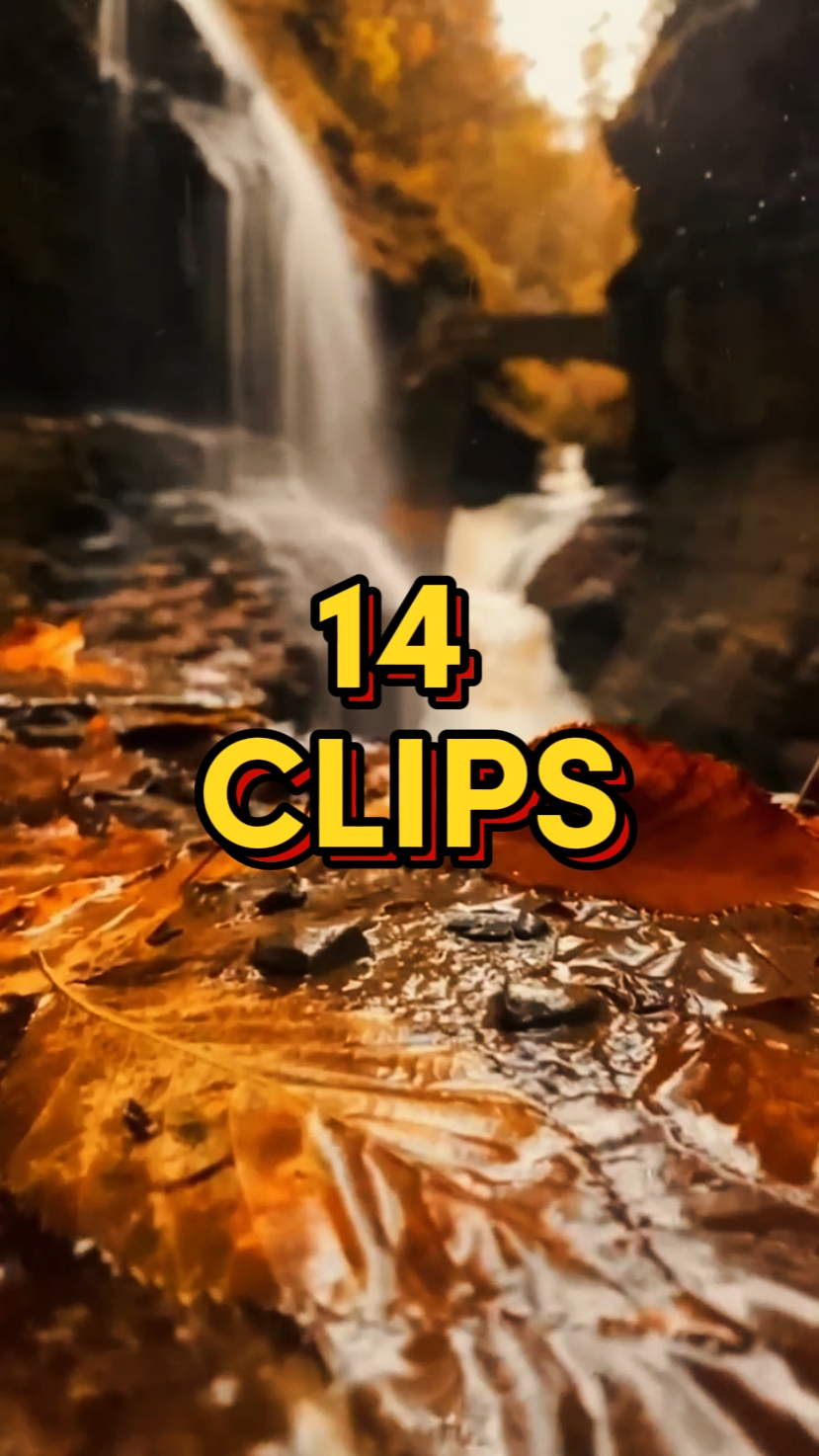 14 clips