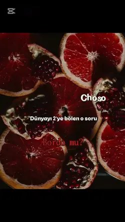 Bordo mu lacivert mi