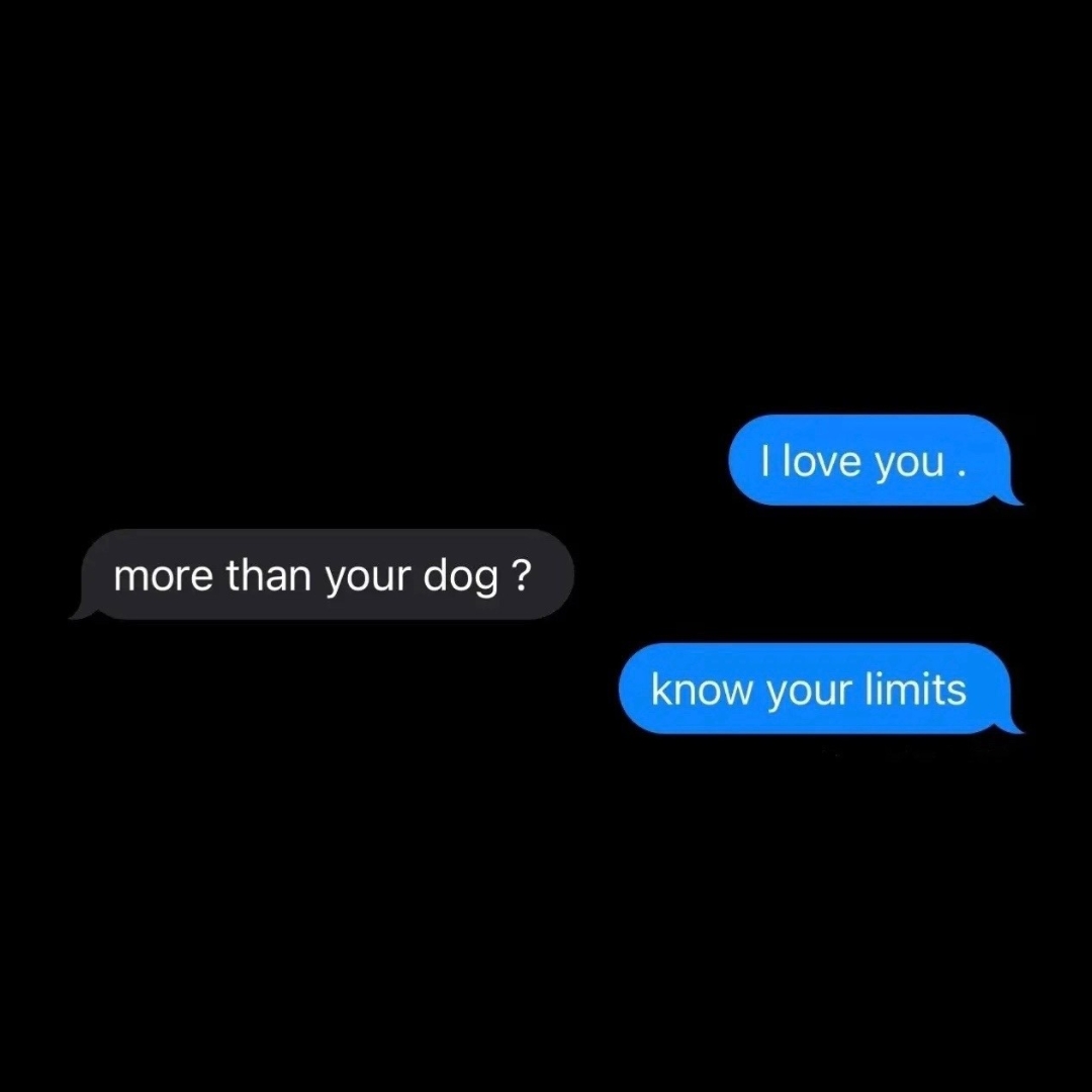 i love my dog