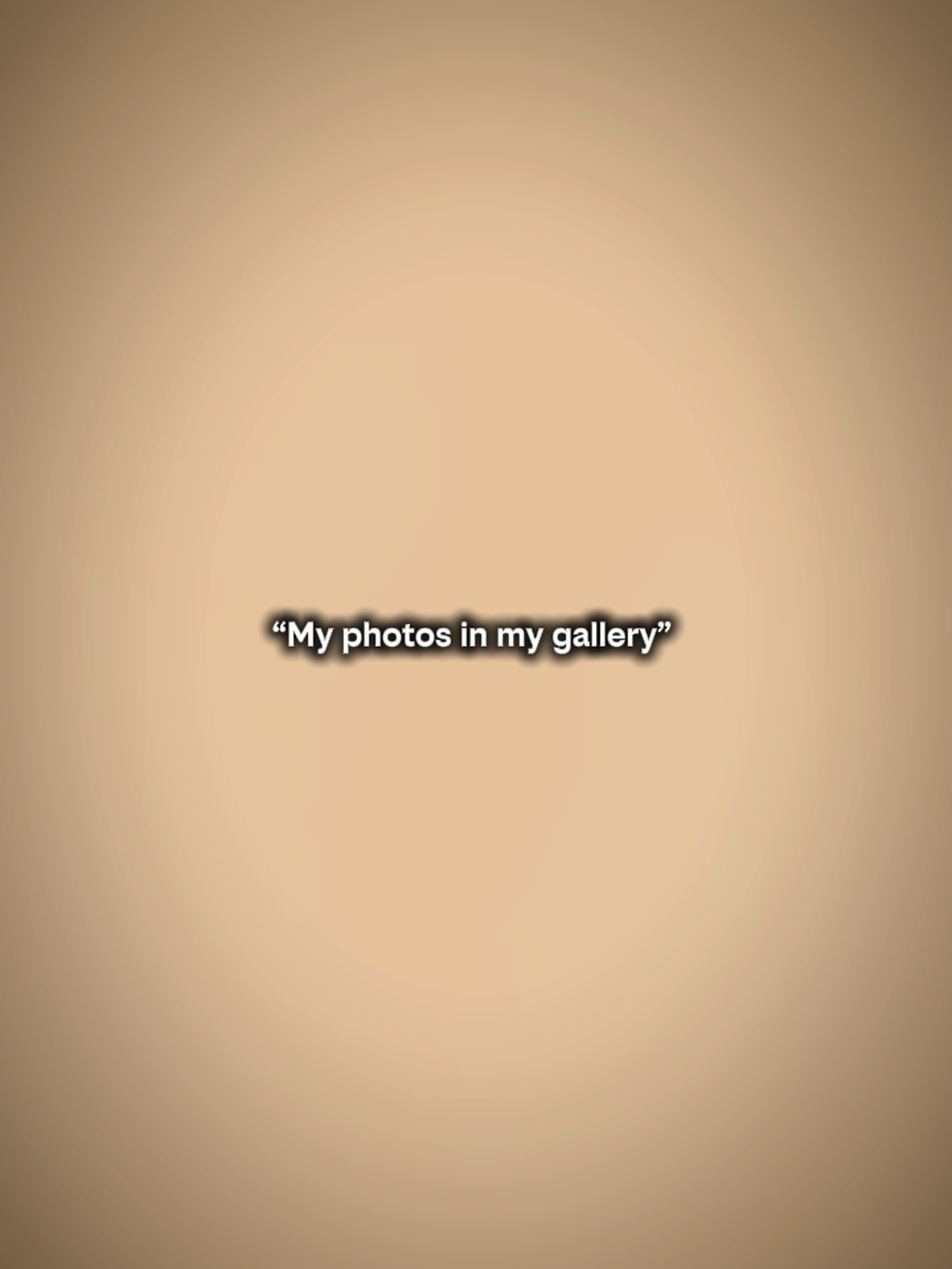Meine Fotos in der Galerie