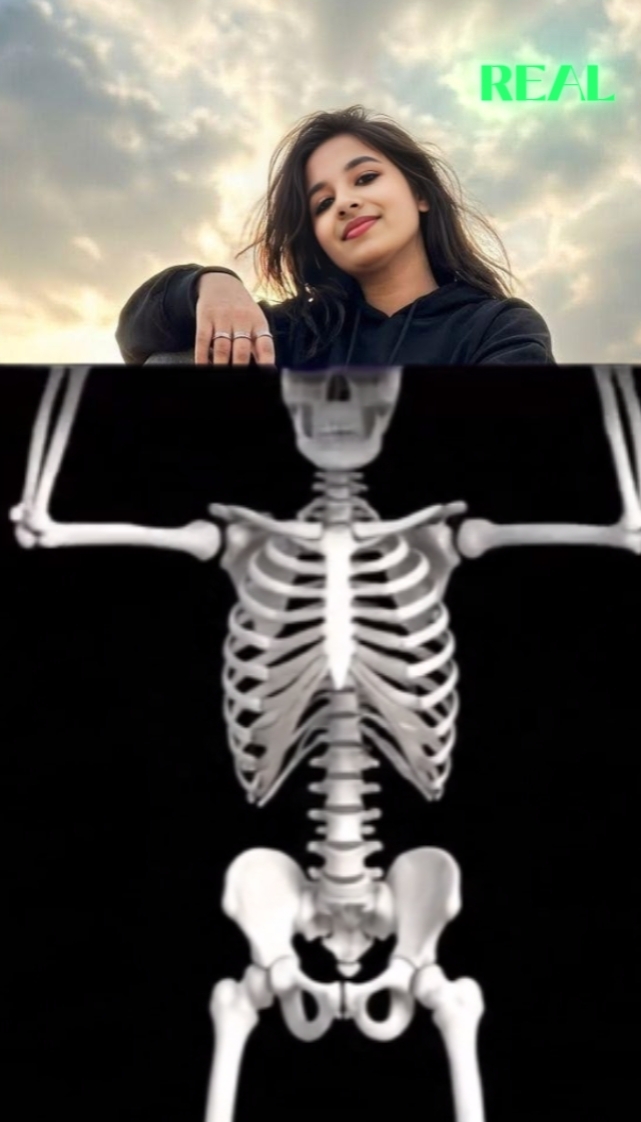 Template Trending 