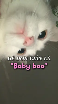 MẪU 4 ẢNH CUTE
