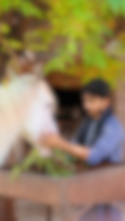 dhrundara bgm trend