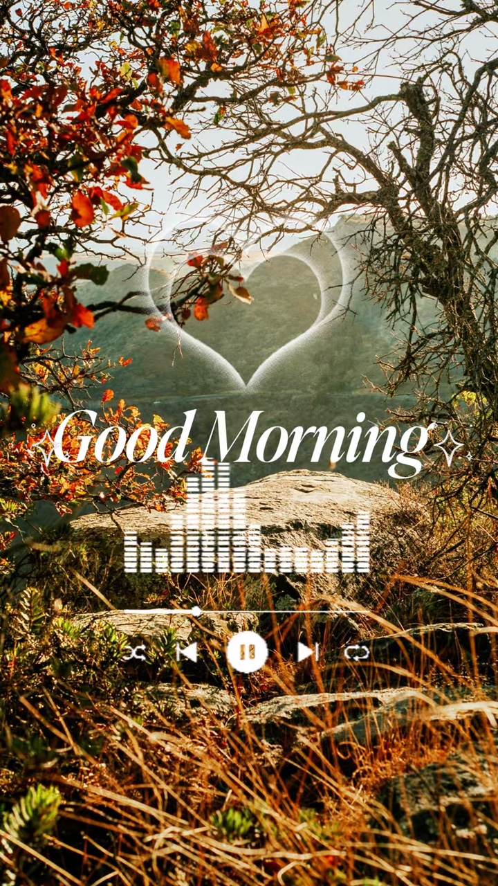 Mensagem De Bom Dia