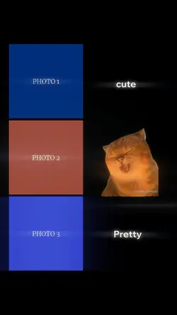 Yapapa cat meme