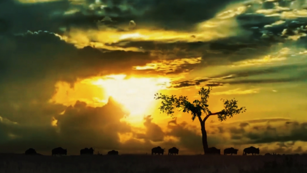 Paysage 7