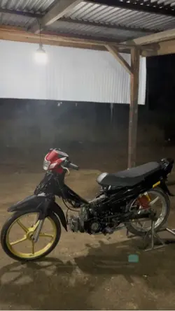 fizr