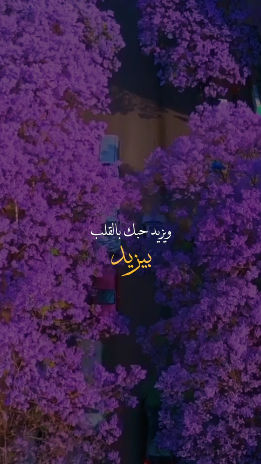 ابدعاتكم ياالمصورين