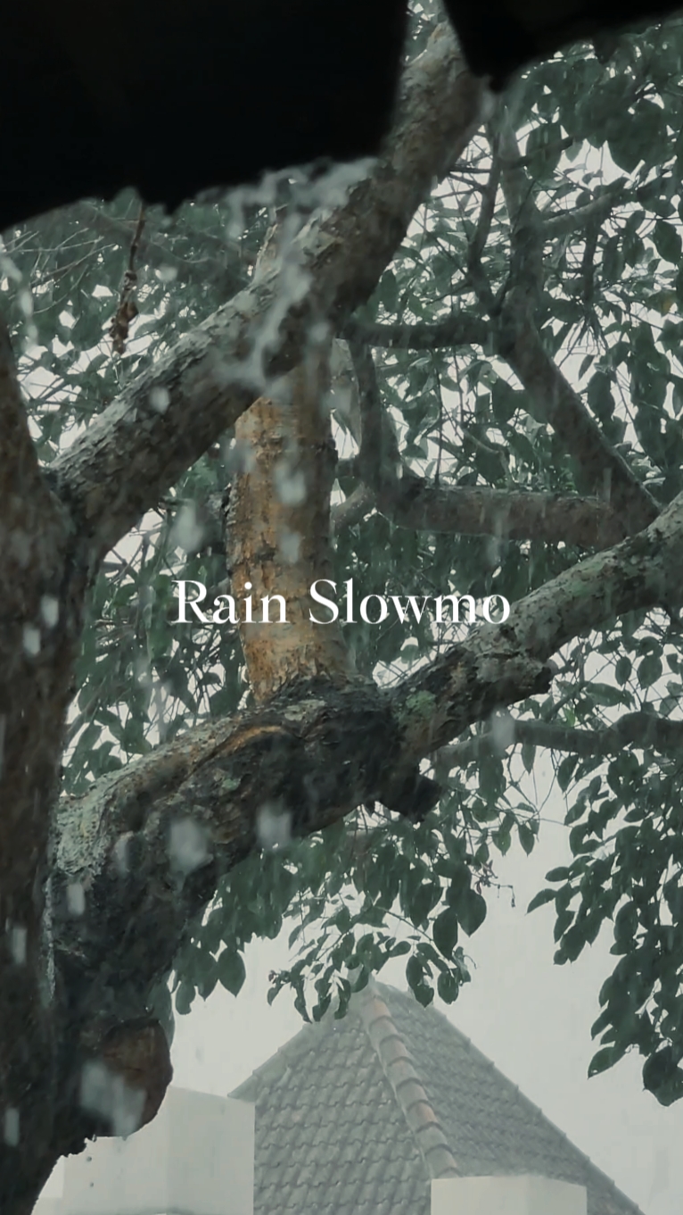 Rain Slowmo 
