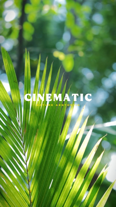 8Klip Cinematic Natu