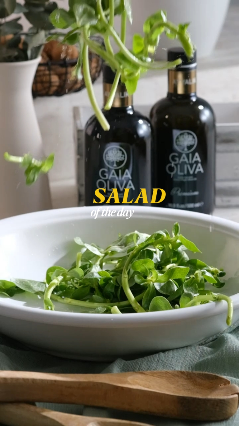 Salada do dia