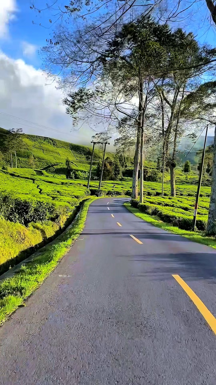 4 video HD story 