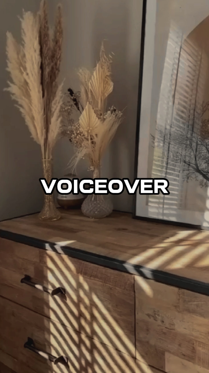 Voice over 