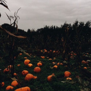 👻🎃Chute🍁🍂