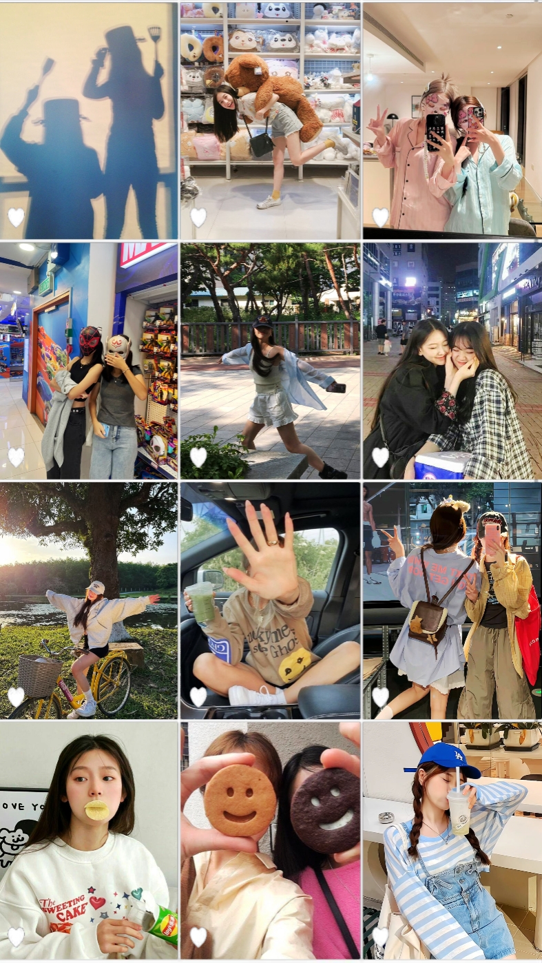 12장의 사진 
