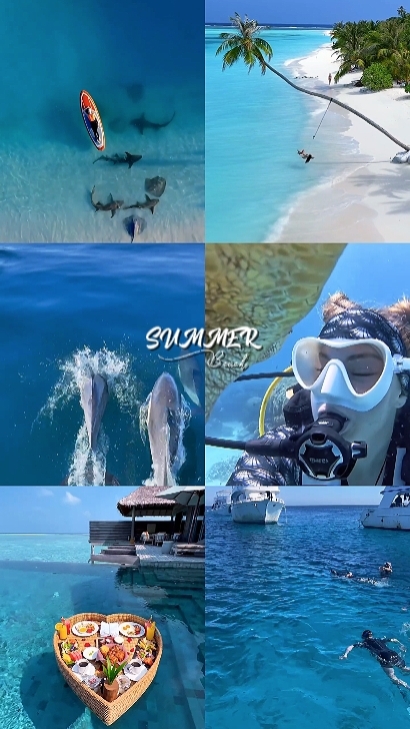Summer Vlog 