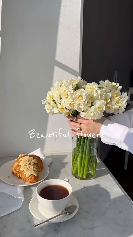 Magagandang mga bulaklak