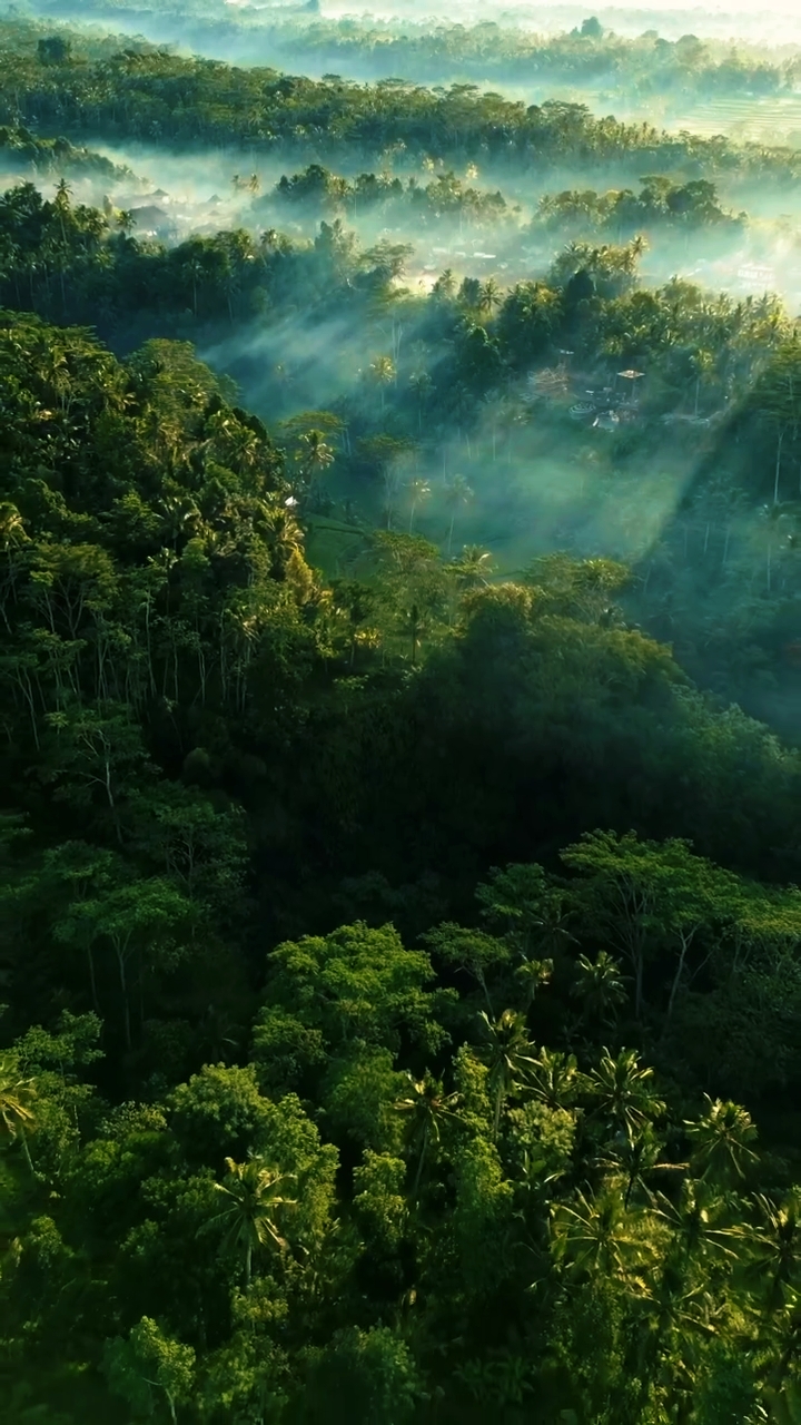esthétique de la nature