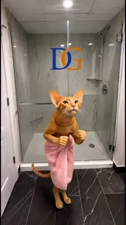 Funny dance