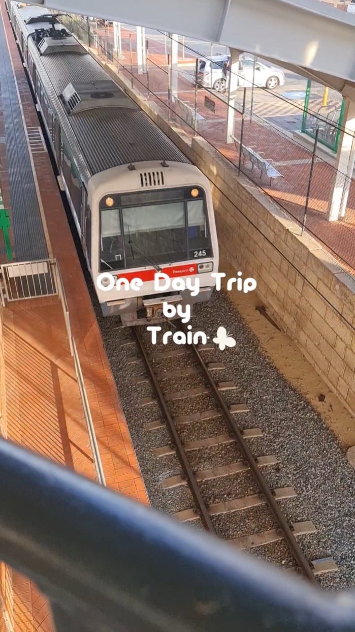 Day Trip by Train