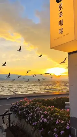 Harikaa slowmotion 
