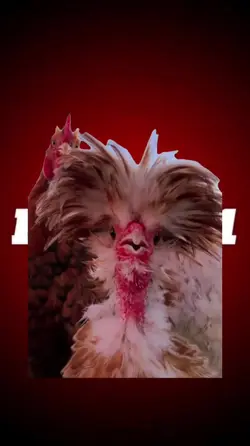 THE GOAT TREND EDIT