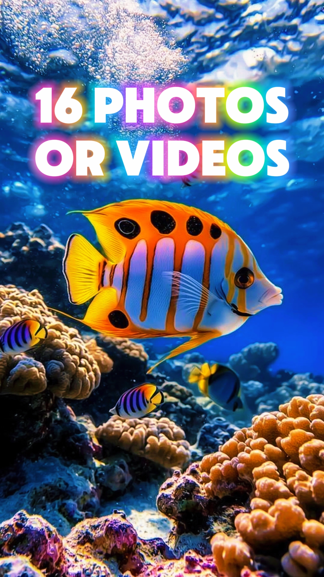 16 Photo Slides