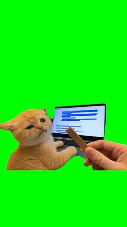 OFFICE KITTEN CRYING