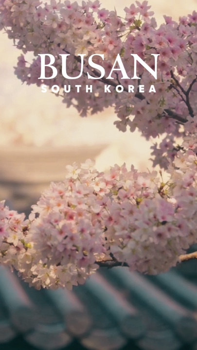 BUSAN SOUTH KOREA 